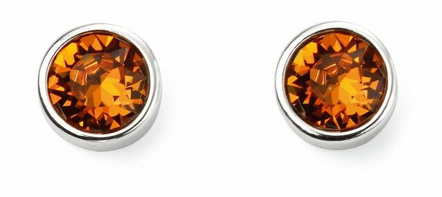 November Silver and Crystal Birthstone Stud Earrings - NB1014 - Hallmark Jewellers Formby & The Jewellers Bench Widnes