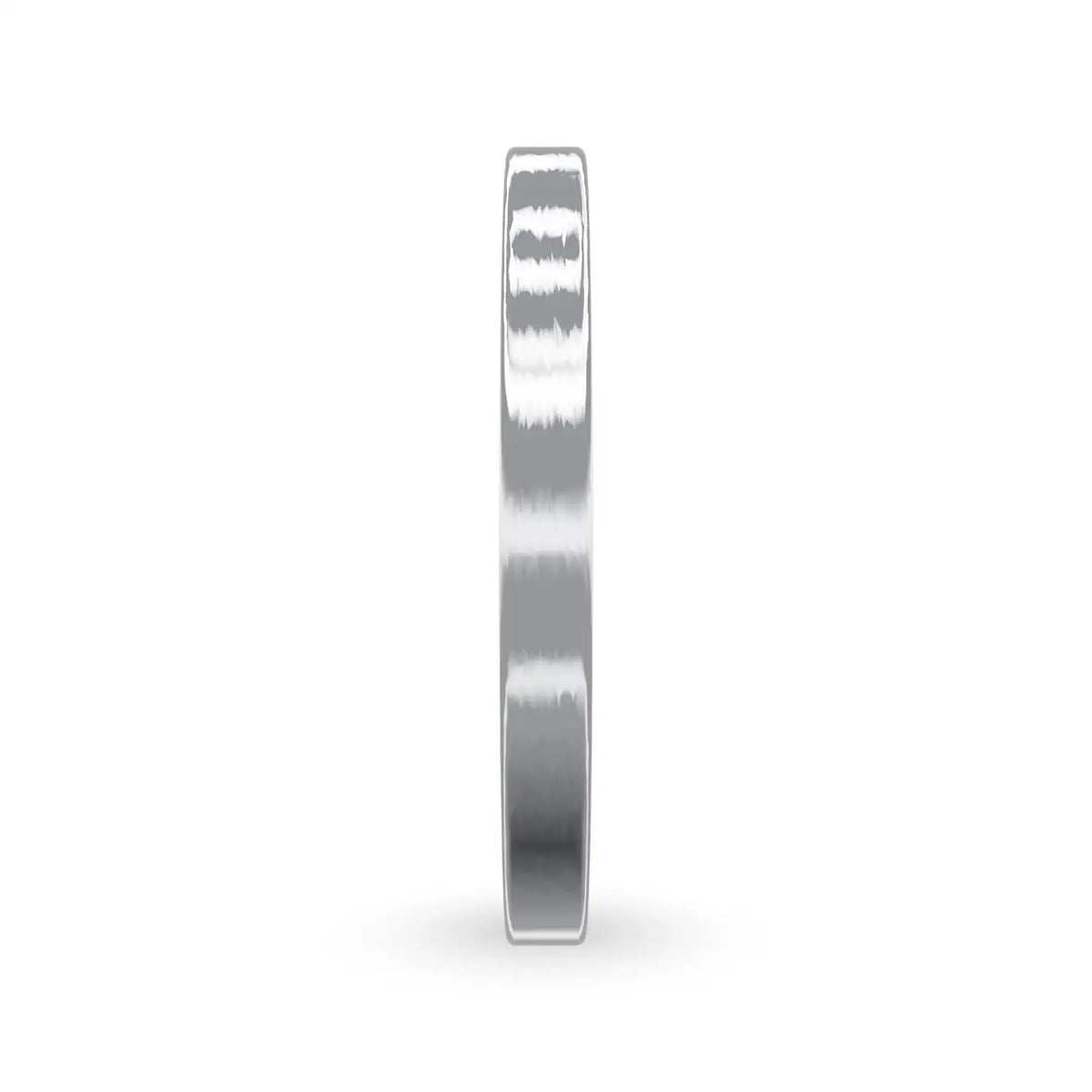 WB040-platinum-side.webp