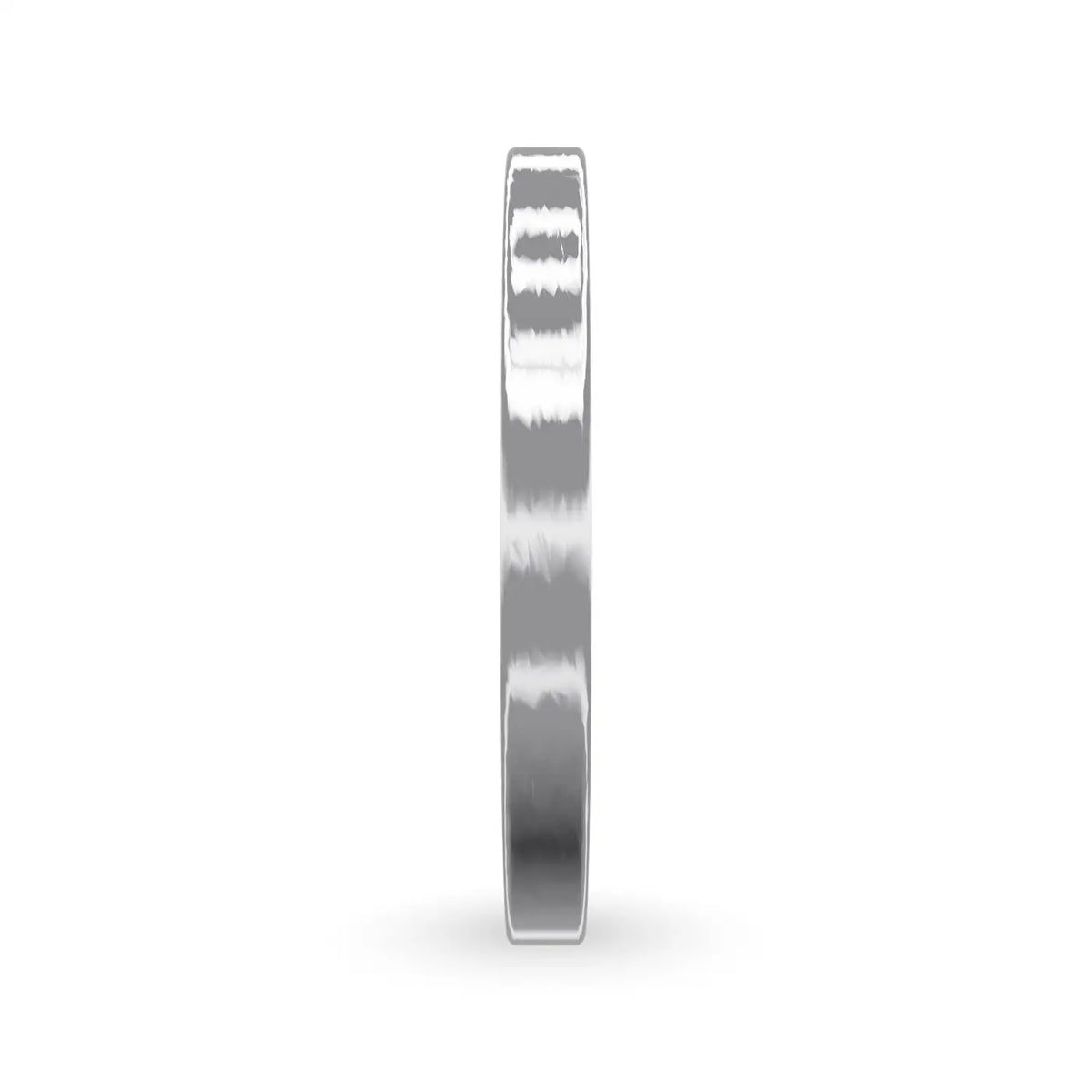 WB041-silver-side.webp