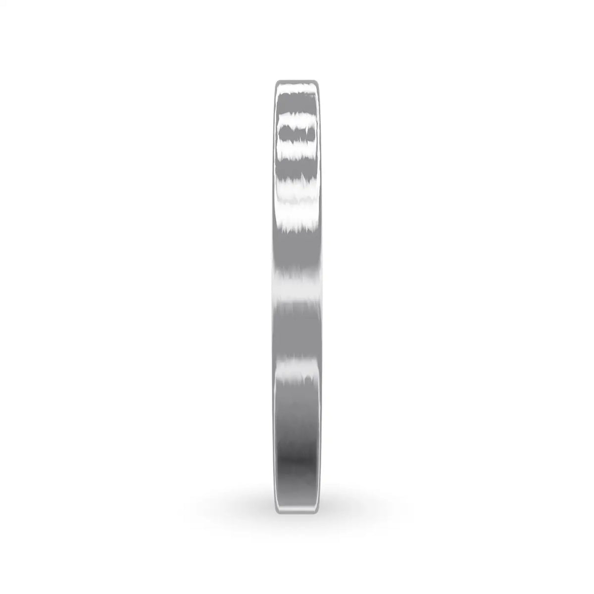 WB040-silver-side.webp